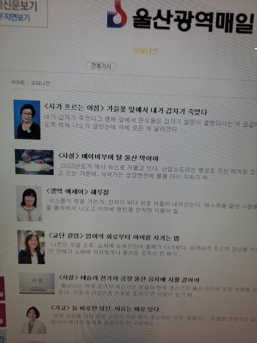 울산 광역 매일.png