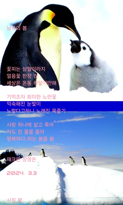 남극의 봄.png